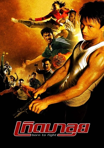 Sinh Ra Để Chiến Đấu